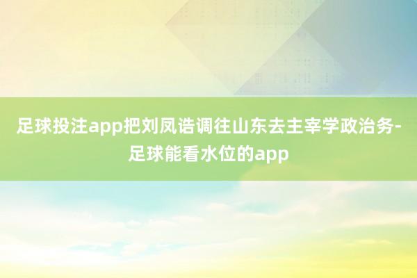 足球投注app把刘凤诰调往山东去主宰学政治务-足球能看水位的app