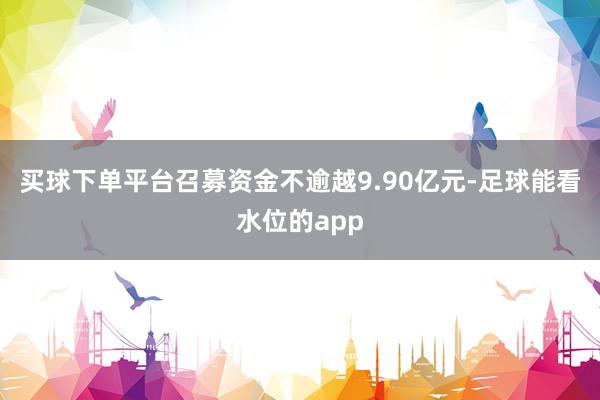 买球下单平台召募资金不逾越9.90亿元-足球能看水位的app