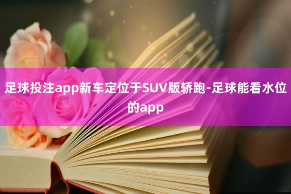 足球投注app新车定位于SUV版轿跑-足球能看水位的app