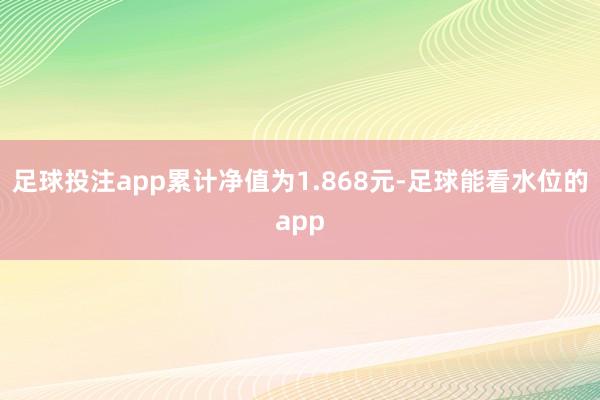 足球投注app累计净值为1.868元-足球能看水位的app