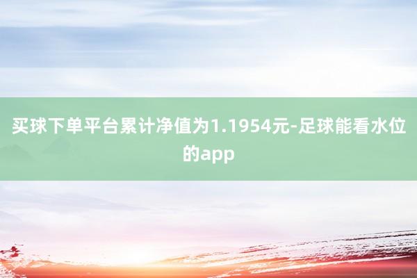 买球下单平台累计净值为1.1954元-足球能看水位的app