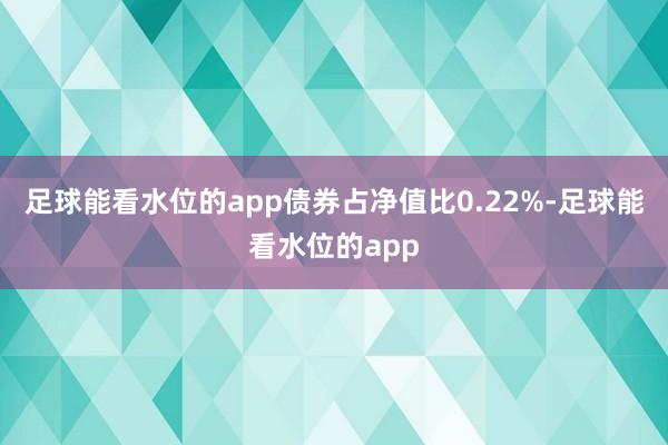 足球能看水位的app债券占净值比0.22%-足球能看水位的app