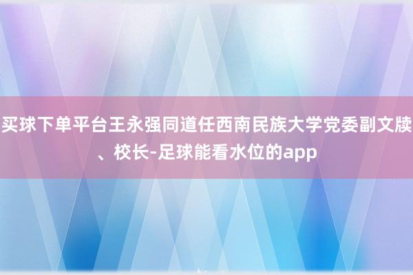 买球下单平台王永强同道任西南民族大学党委副文牍、校长-足球能看水位的app