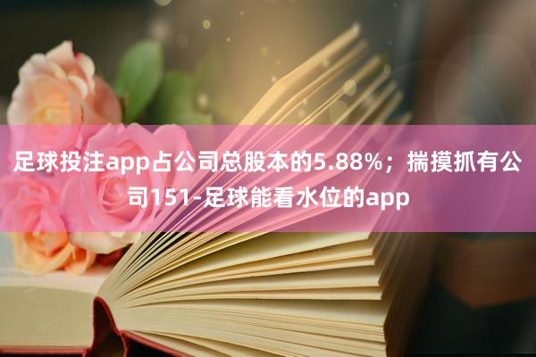 足球投注app占公司总股本的5.88%；揣摸抓有公司151-足球能看水位的app