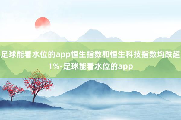 足球能看水位的app恒生指数和恒生科技指数均跌超1%-足球能看水位的app