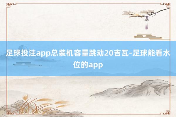 足球投注app总装机容量跳动20吉瓦-足球能看水位的app