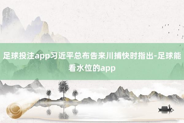 足球投注app习近平总布告来川捕快时指出-足球能看水位的app