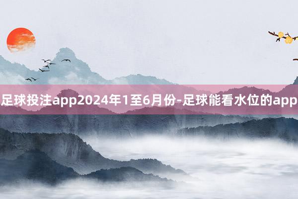 足球投注app　　2024年1至6月份-足球能看水位的app