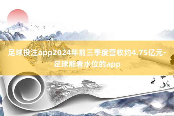 足球投注app2024年前三季度营收约4.75亿元-足球能看水位的app