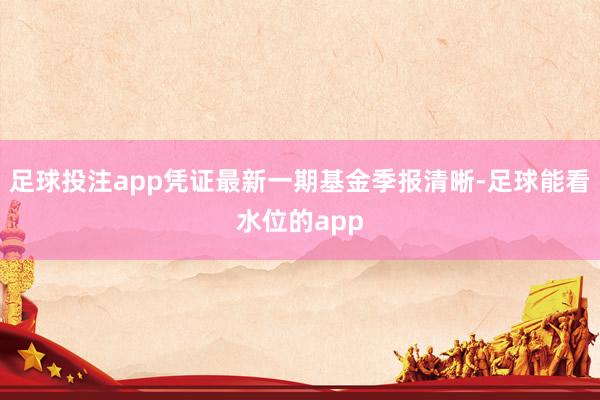 足球投注app凭证最新一期基金季报清晰-足球能看水位的app