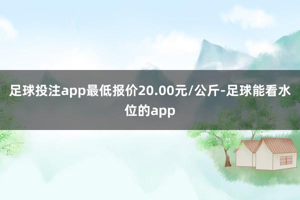 足球投注app最低报价20.00元/公斤-足球能看水位的app