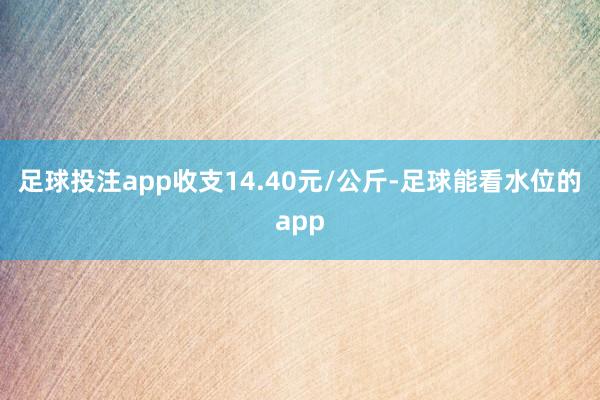 足球投注app收支14.40元/公斤-足球能看水位的app