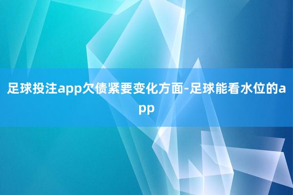 足球投注app　　欠债紧要变化方面-足球能看水位的app