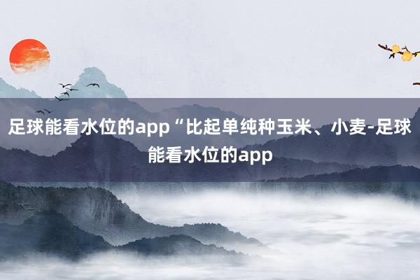 足球能看水位的app“比起单纯种玉米、小麦-足球能看水位的app