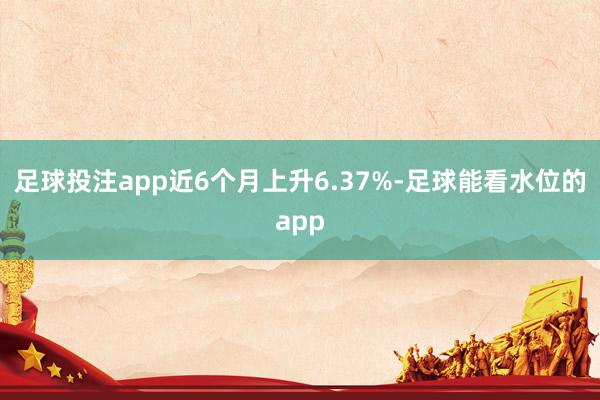 足球投注app近6个月上升6.37%-足球能看水位的app