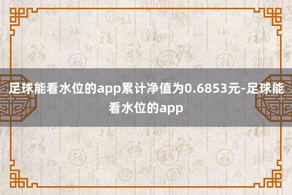 足球能看水位的app累计净值为0.6853元-足球能看水位的app