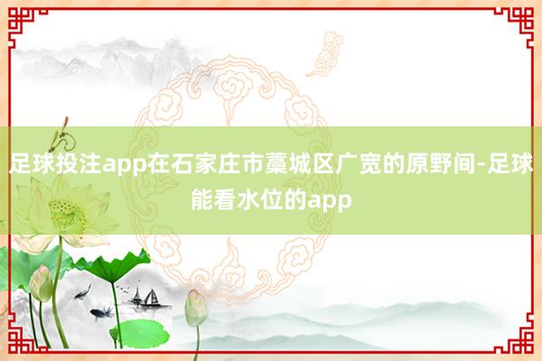 足球投注app在石家庄市藁城区广宽的原野间-足球能看水位的app