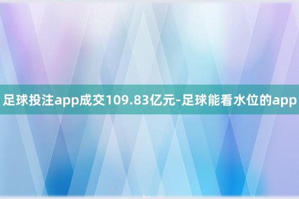 足球投注app成交109.83亿元-足球能看水位的app