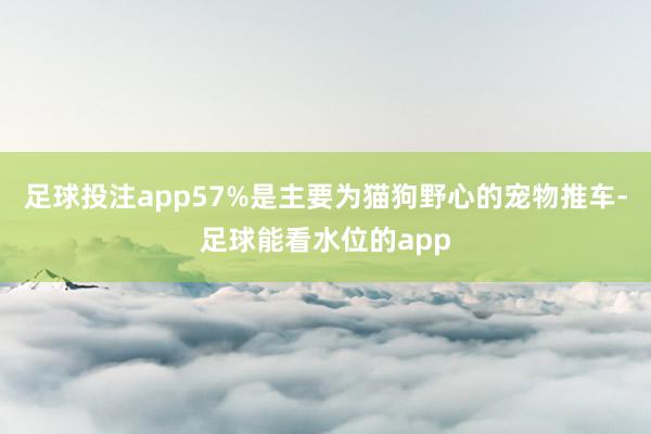 足球投注app57%是主要为猫狗野心的宠物推车-足球能看水位的app