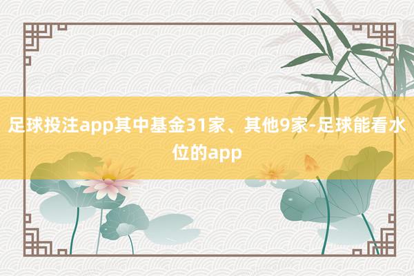 足球投注app其中基金31家、其他9家-足球能看水位的app