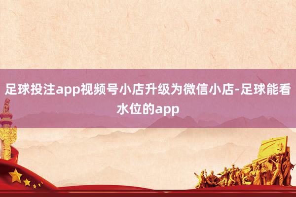 足球投注app视频号小店升级为微信小店-足球能看水位的app