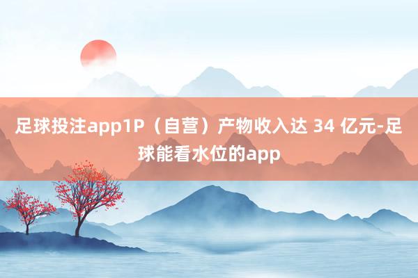 足球投注app1P（自营）产物收入达 34 亿元-足球能看水位的app