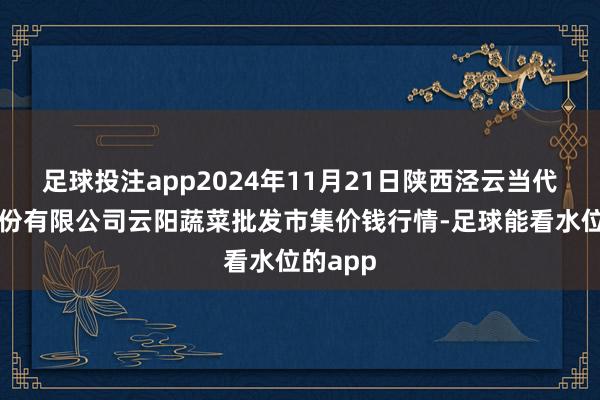 足球投注app2024年11月21日陕西泾云当代农业股份有限公司云阳蔬菜批发市集价钱行情-足球能看水位的app