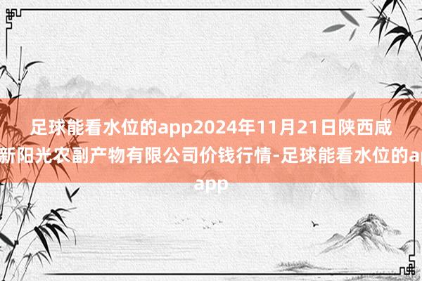 足球能看水位的app2024年11月21日陕西咸阳新阳光农副产物有限公司价钱行情-足球能看水位的app