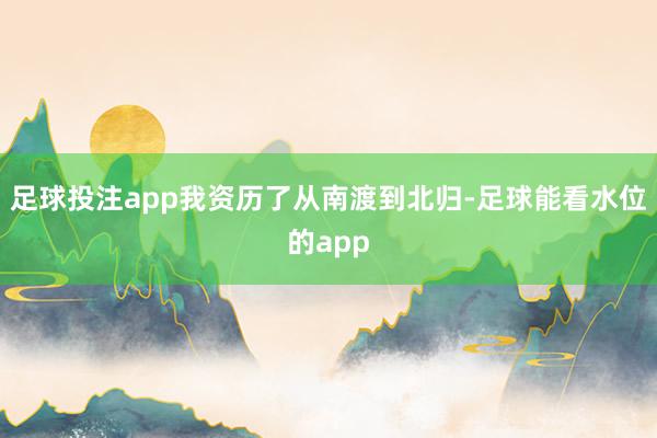 足球投注app我资历了从南渡到北归-足球能看水位的app