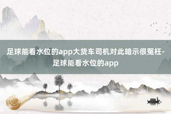 足球能看水位的app大货车司机对此暗示很冤枉-足球能看水位的app