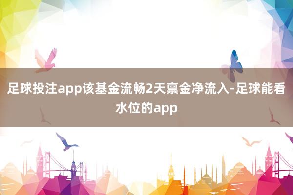 足球投注app该基金流畅2天禀金净流入-足球能看水位的app