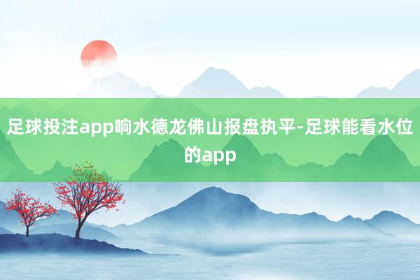 足球投注app响水德龙佛山报盘执平-足球能看水位的app