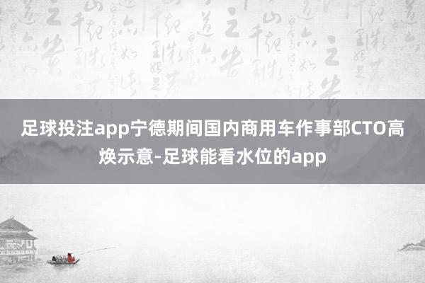 足球投注app　　宁德期间国内商用车作事部CTO高焕示意-足球能看水位的app