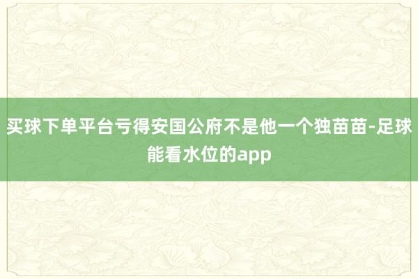 买球下单平台亏得安国公府不是他一个独苗苗-足球能看水位的app