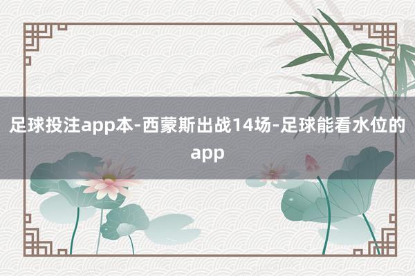 足球投注app本-西蒙斯出战14场-足球能看水位的app