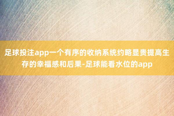 足球投注app一个有序的收纳系统约略显贵提高生存的幸福感和后果-足球能看水位的app