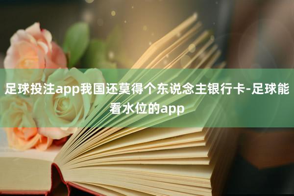 足球投注app我国还莫得个东说念主银行卡-足球能看水位的app