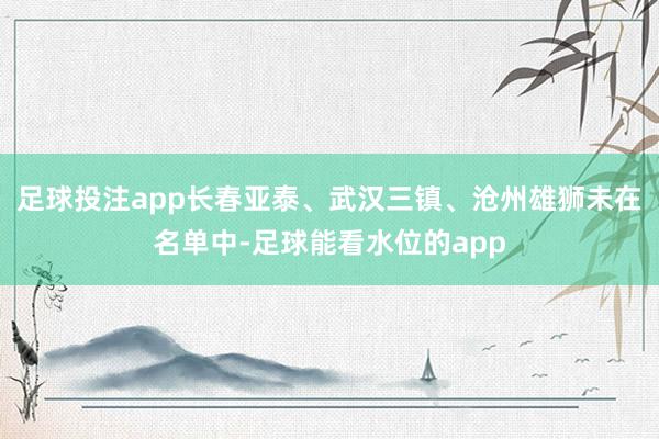 足球投注app长春亚泰、武汉三镇、沧州雄狮未在名单中-足球能看水位的app