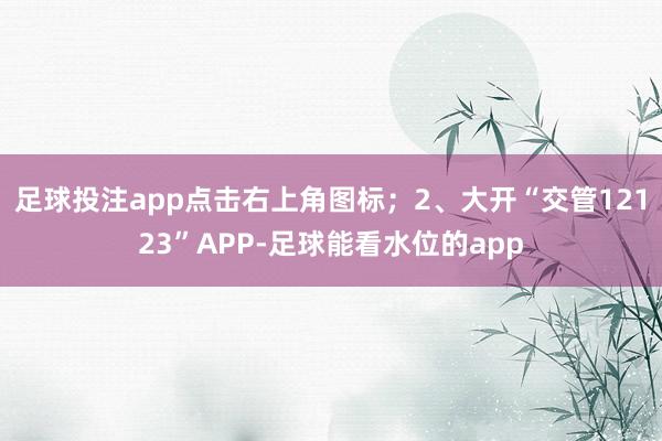 足球投注app点击右上角图标；2、大开“交管12123”APP-足球能看水位的app