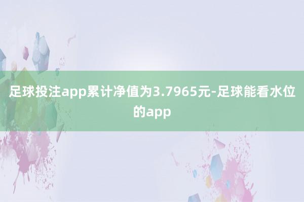 足球投注app累计净值为3.7965元-足球能看水位的app