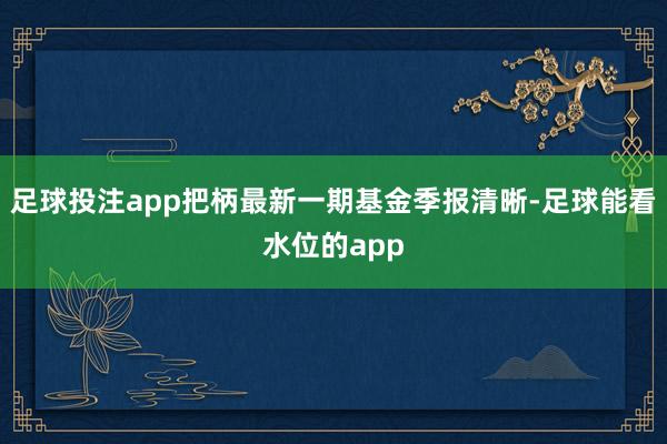 足球投注app把柄最新一期基金季报清晰-足球能看水位的app