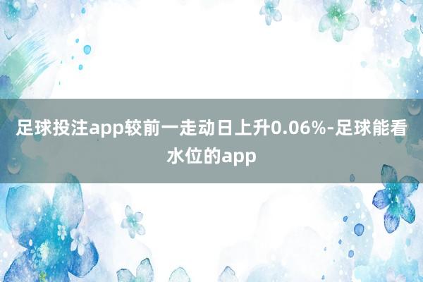 足球投注app较前一走动日上升0.06%-足球能看水位的app