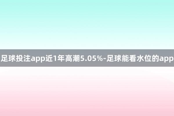 足球投注app近1年高潮5.05%-足球能看水位的app