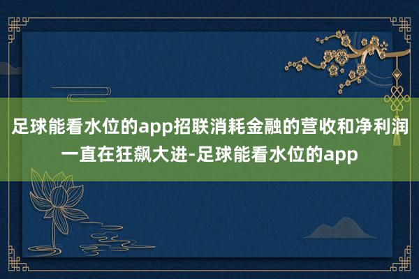 足球能看水位的app招联消耗金融的营收和净利润一直在狂飙大进-足球能看水位的app