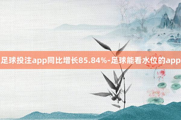 足球投注app同比增长85.84%-足球能看水位的app