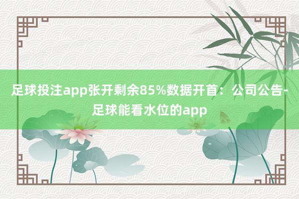 足球投注app张开剩余85%数据开首：公司公告-足球能看水位的app