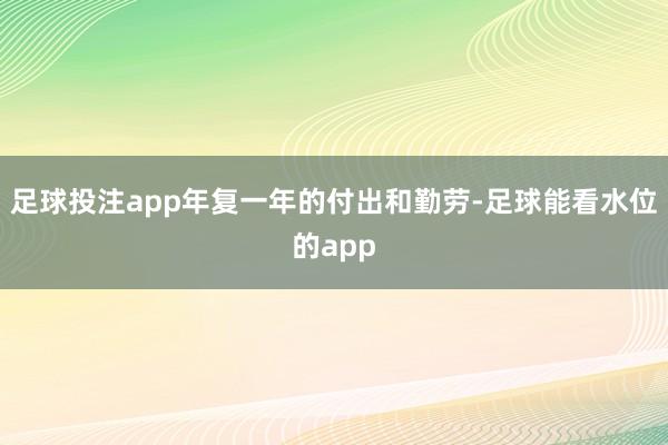 足球投注app年复一年的付出和勤劳-足球能看水位的app