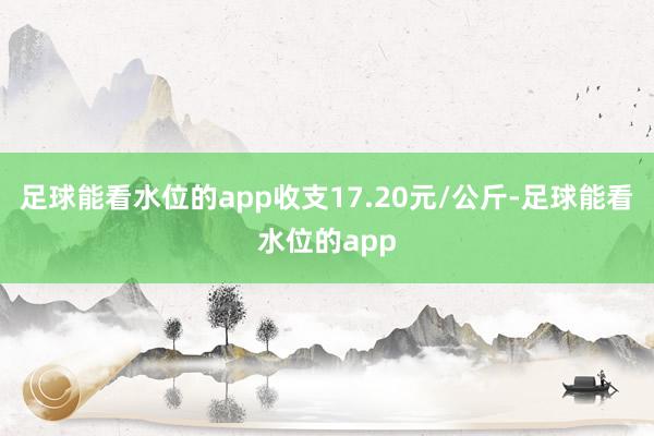 足球能看水位的app收支17.20元/公斤-足球能看水位的app