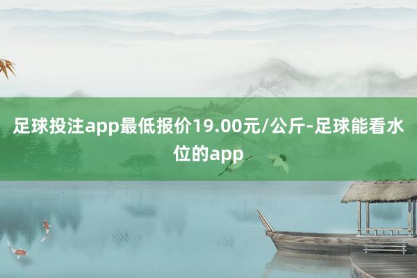 足球投注app最低报价19.00元/公斤-足球能看水位的app