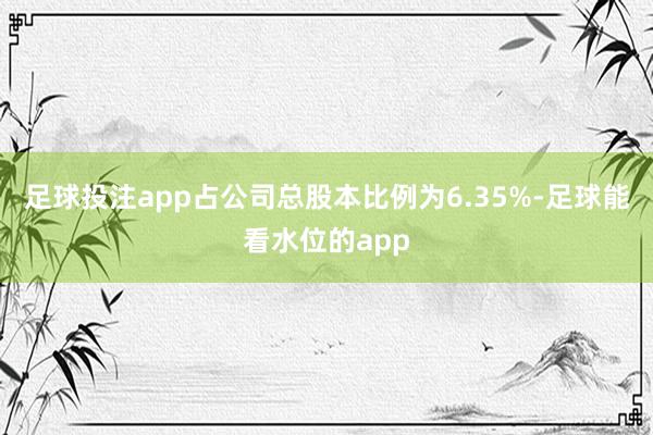 足球投注app占公司总股本比例为6.35%-足球能看水位的app